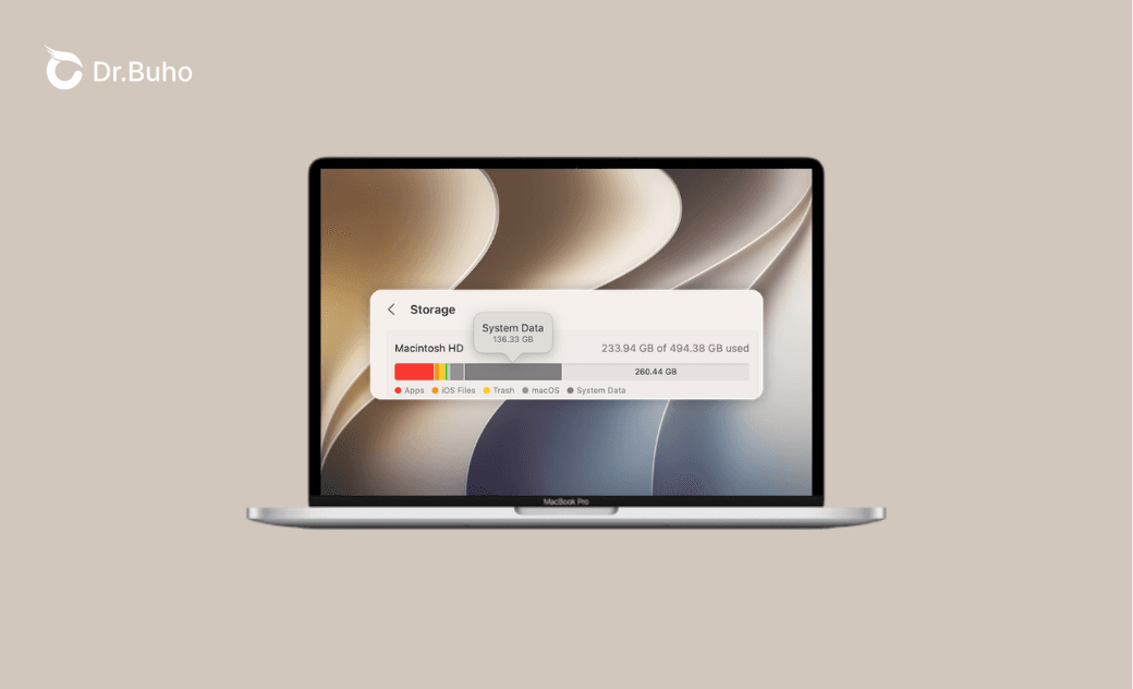 Mac "System Data" Too Large? 10 Ways to Clear It