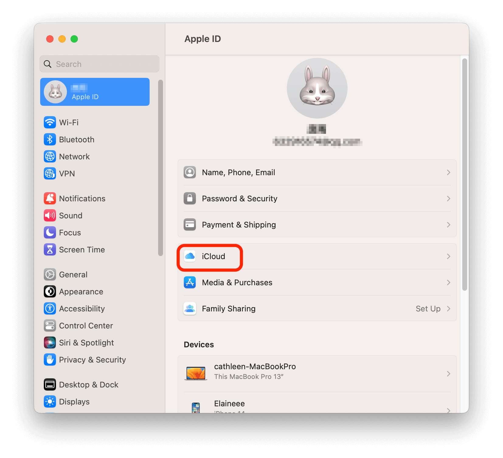 Open iCloud on Mac