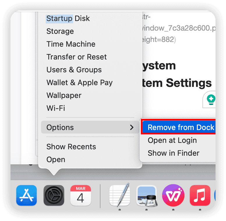 Remove System Settings from Dock