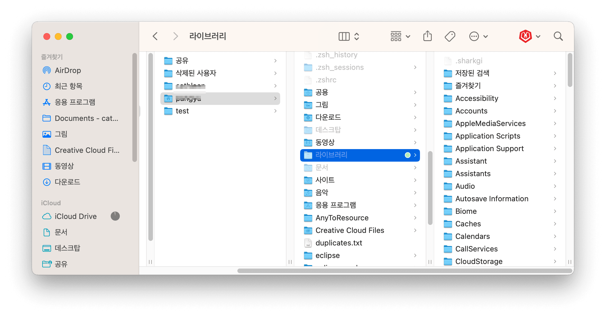 Show Library Folders on Mac