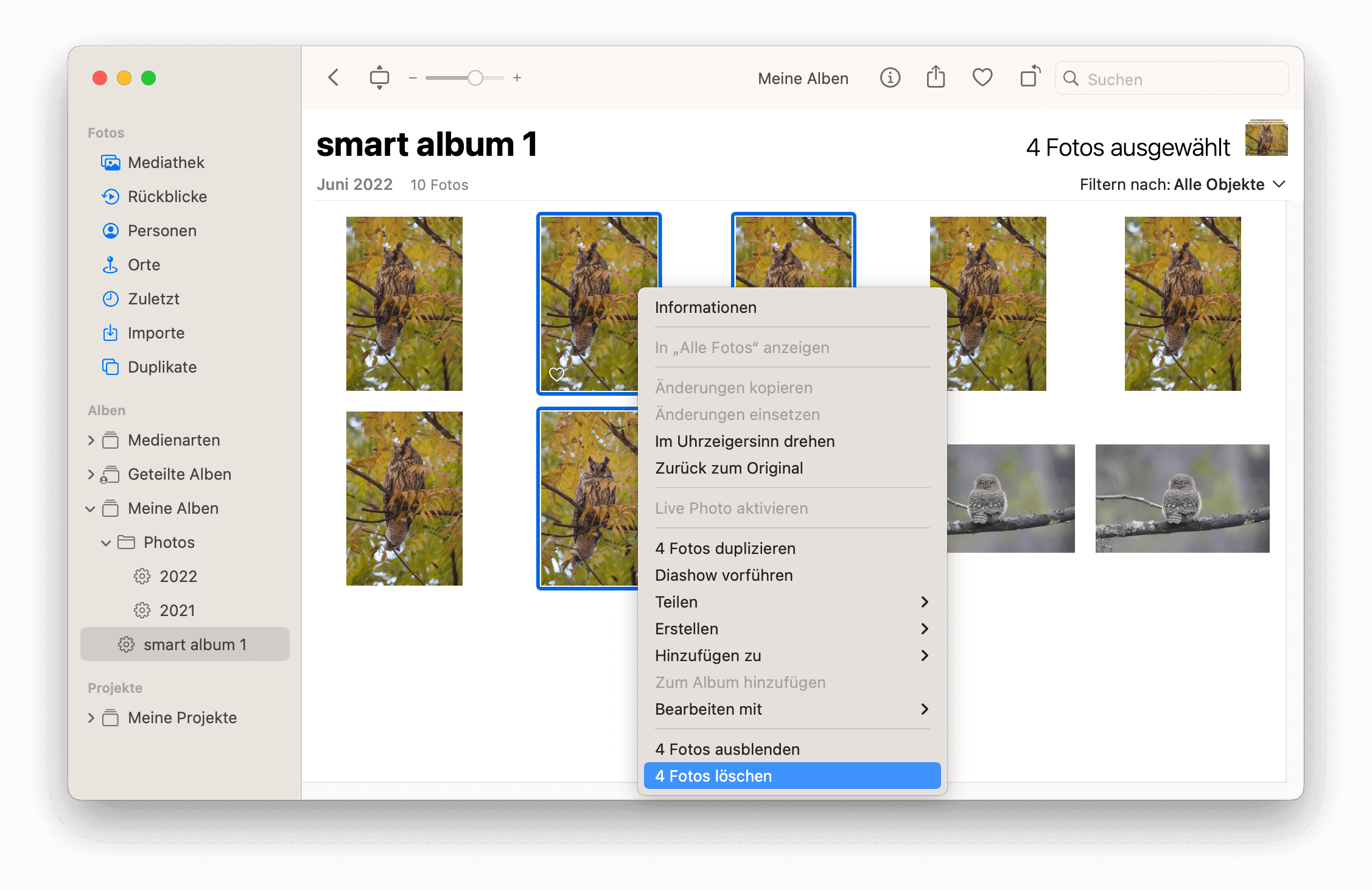 smart-album-the-photos-apps-mac.png