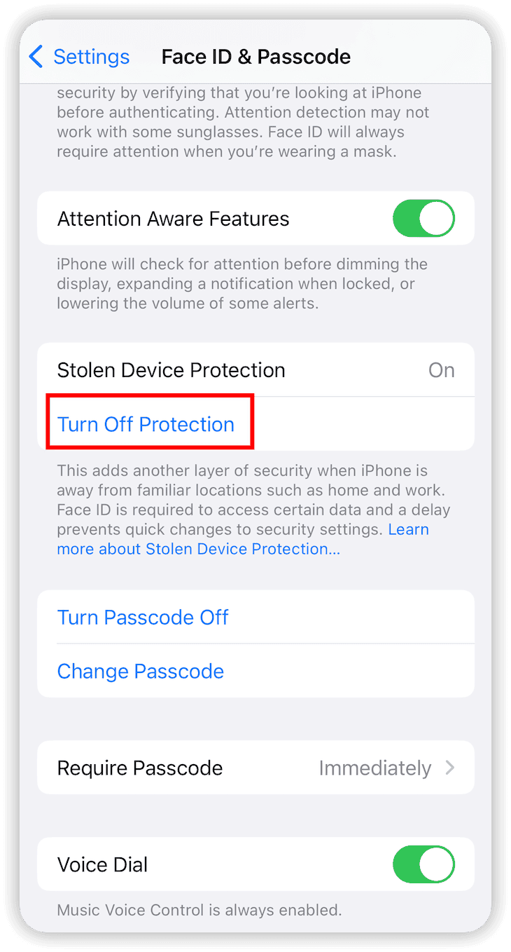 Turn off Stolen Device Protection on iPhone