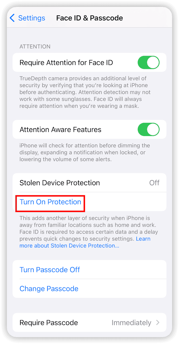 Turn On Stolen Device Protection