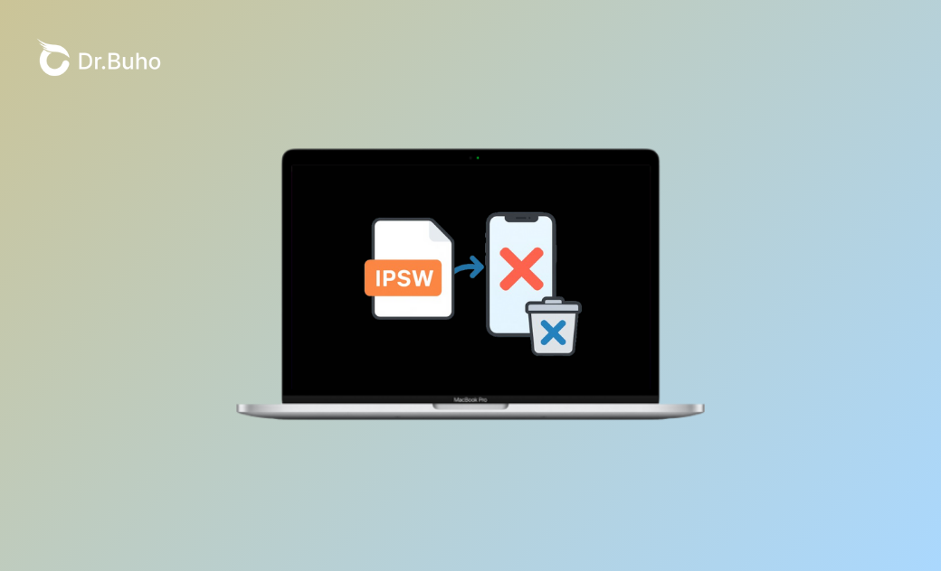 IPSWとは？何ができるか？