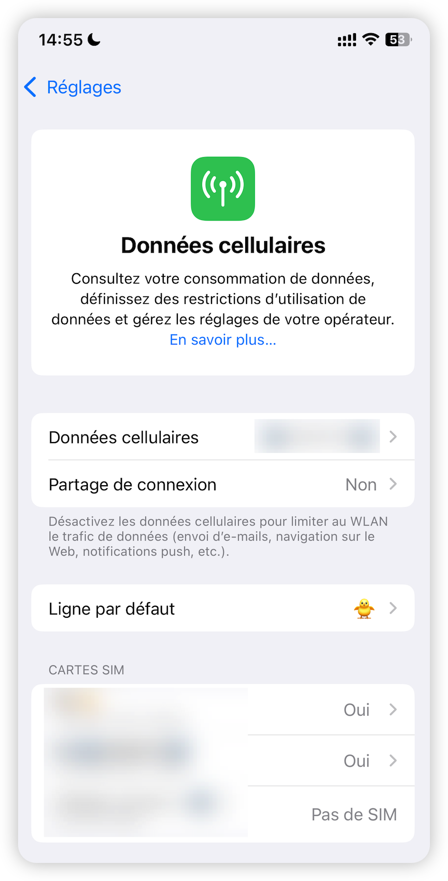 Vérifier les réglages de données cellulaires