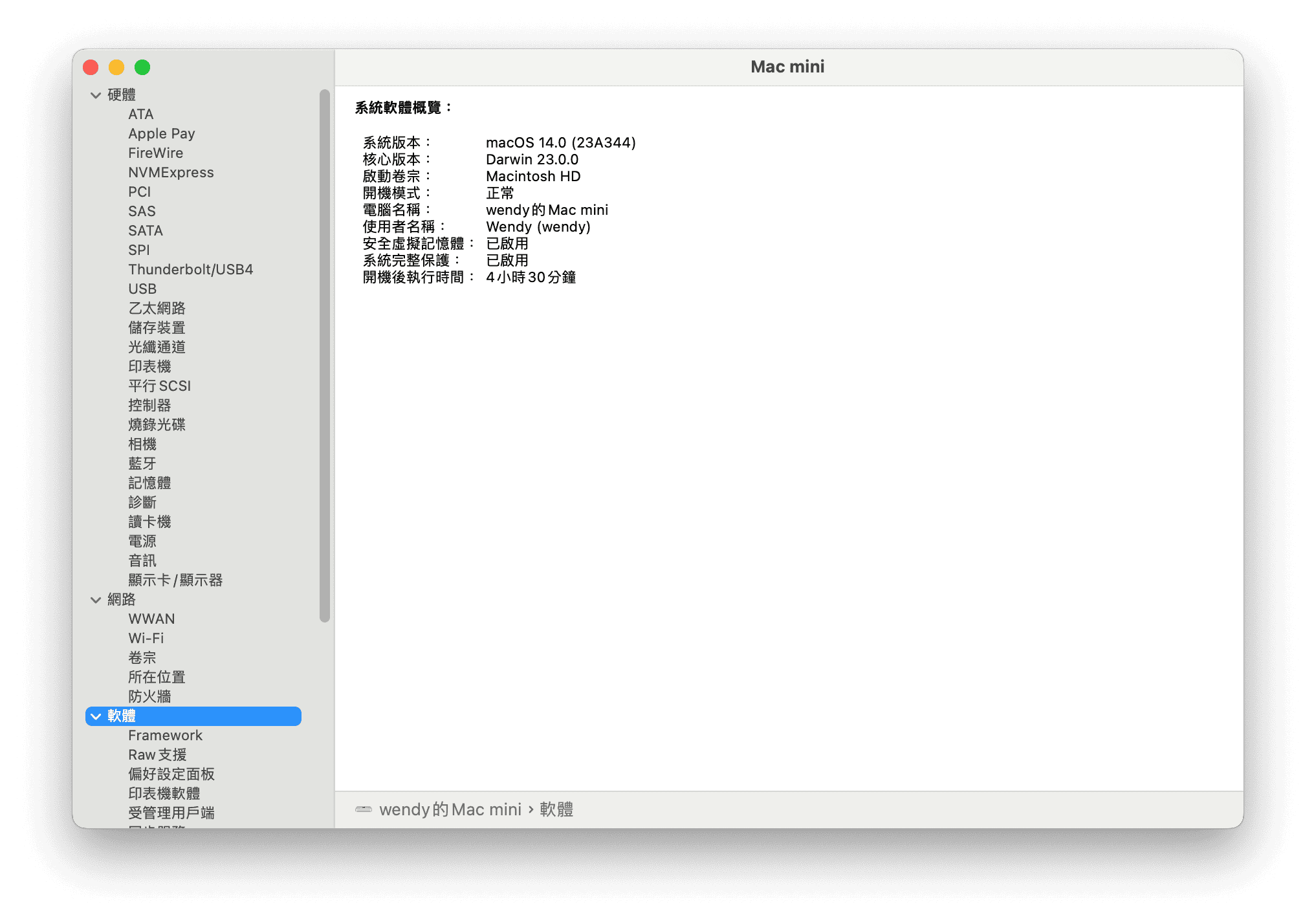 檢查 Mac 開機模式