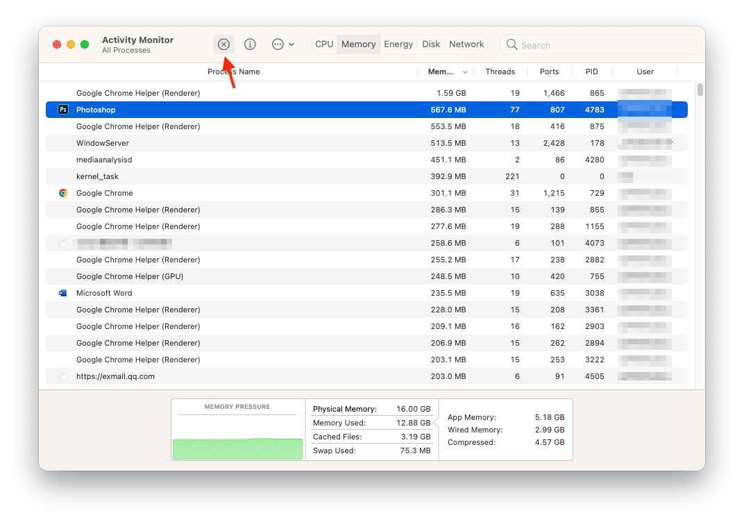 Check RAM Usage on Mac
