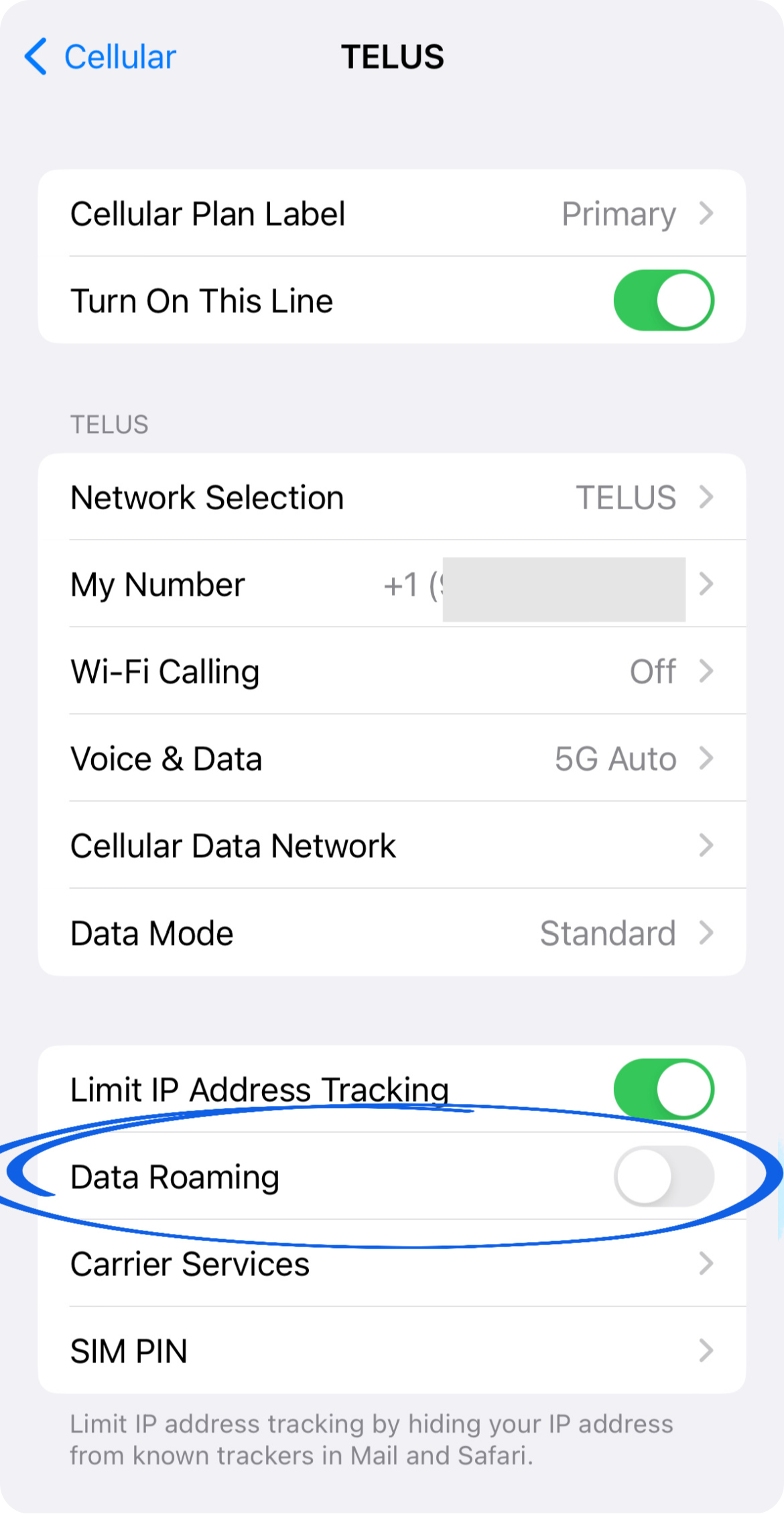 Roaming de Données sur iPhone