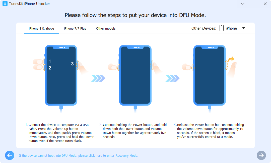Enter the DFU Mode