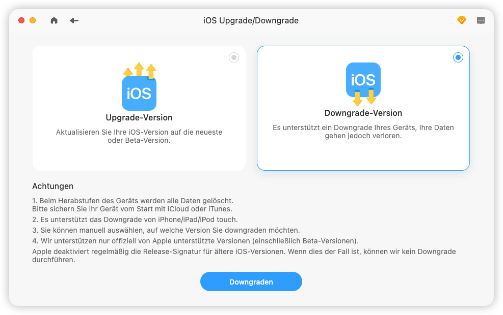 Downgrade Version BuhoRepair
