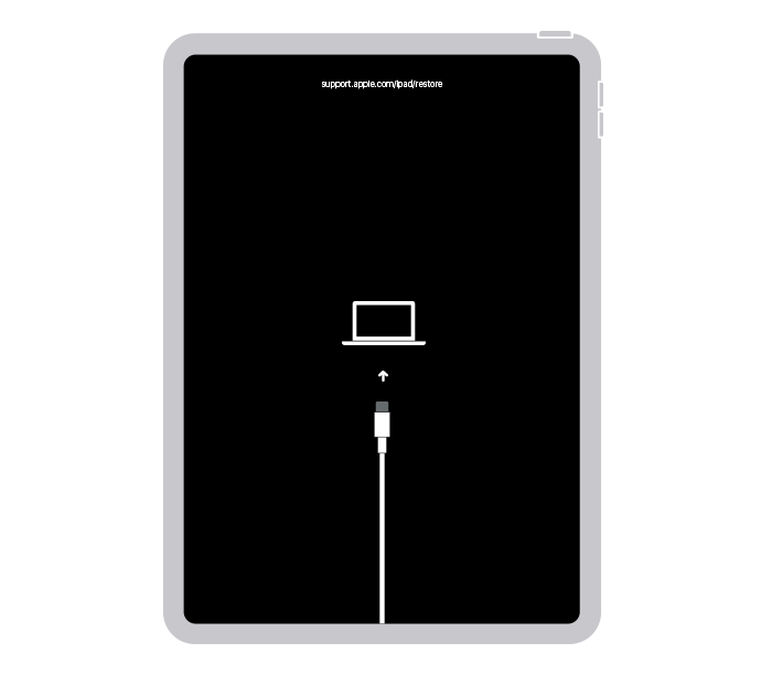 iPad in Recovery Mode