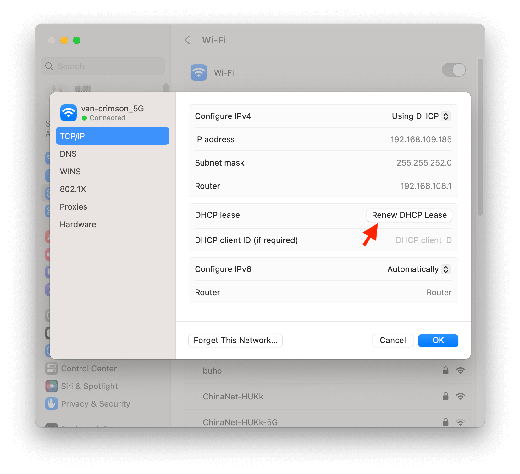 Renew DHCP Lease