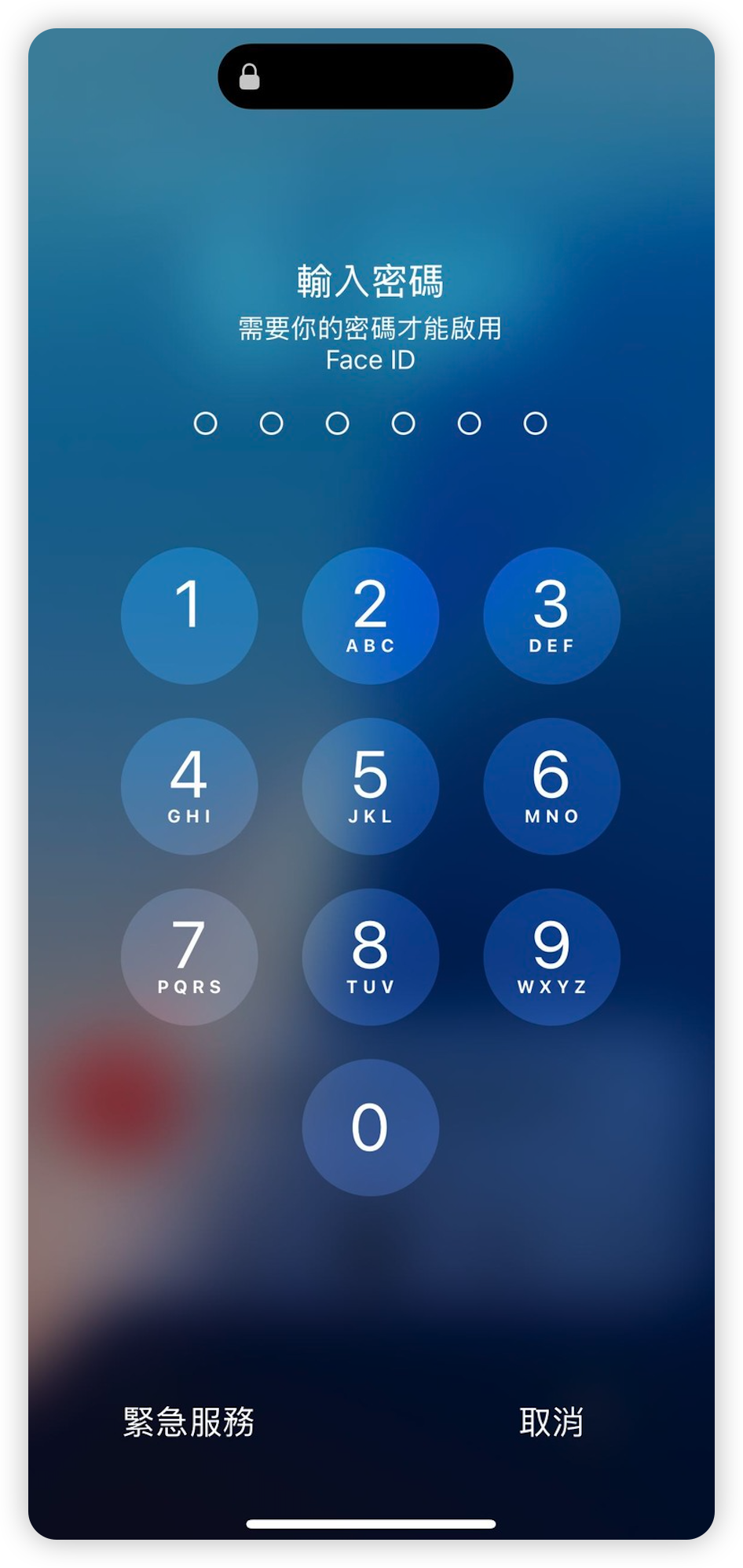 需要你的密碼才能啟用 Face ID