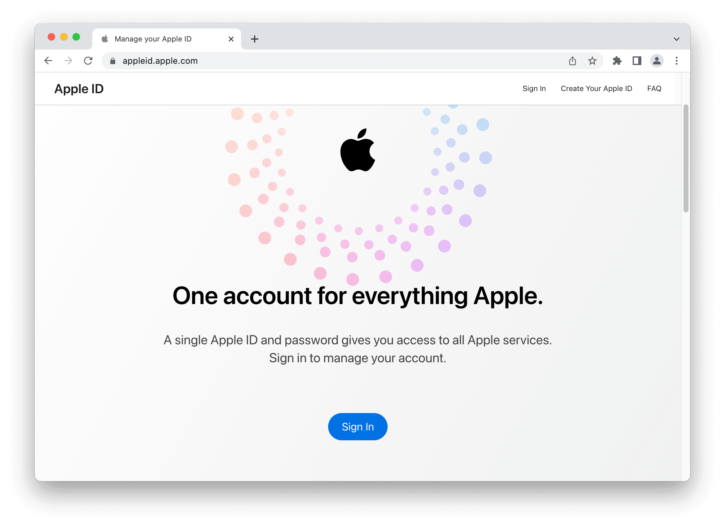 Apple ID sign in