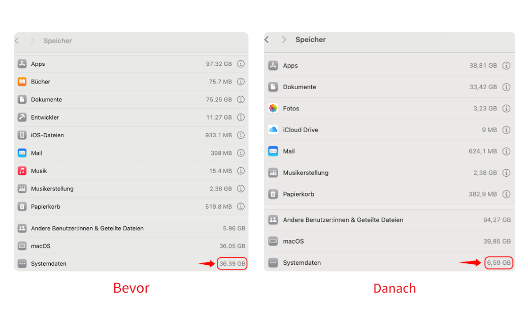cache-leeren-um-systemdaten-auf-mac-zu-reduzieren.png