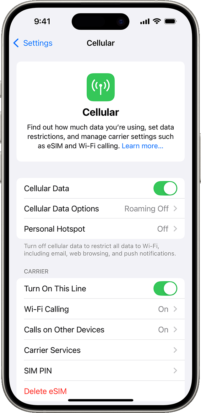 Check Cellular Data Settings