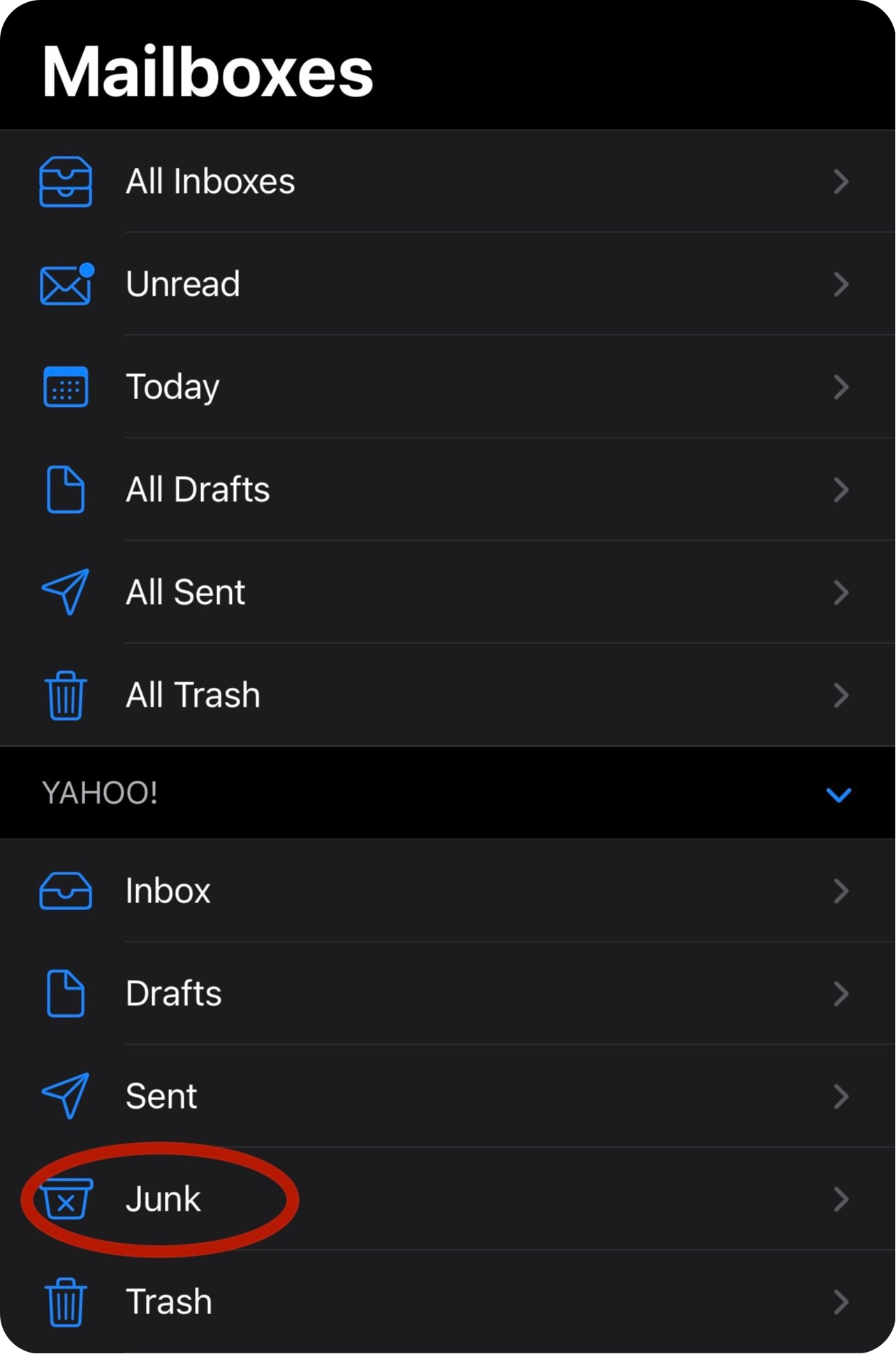 Check Junk Folders