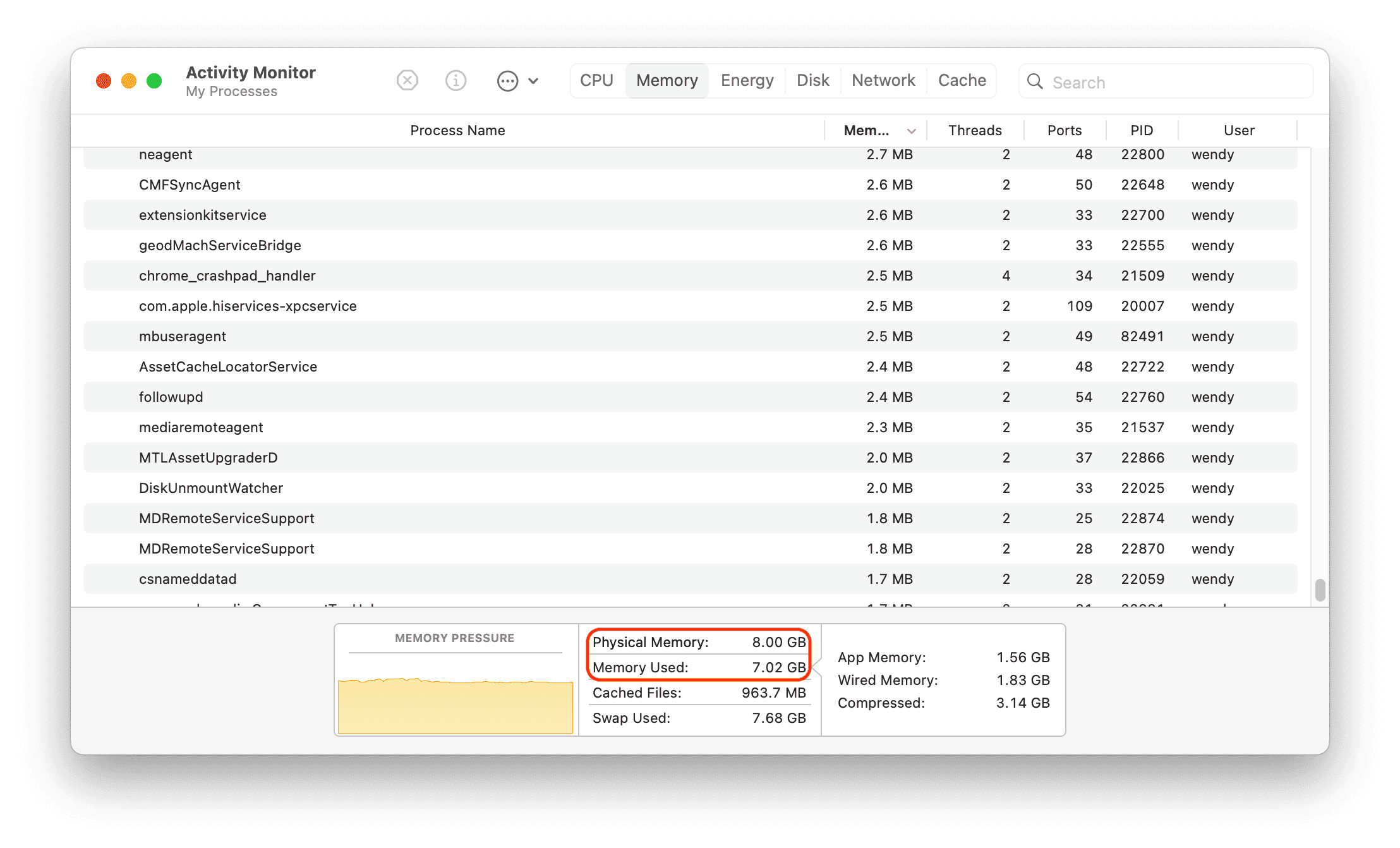 Check Memory in Activity Monitor