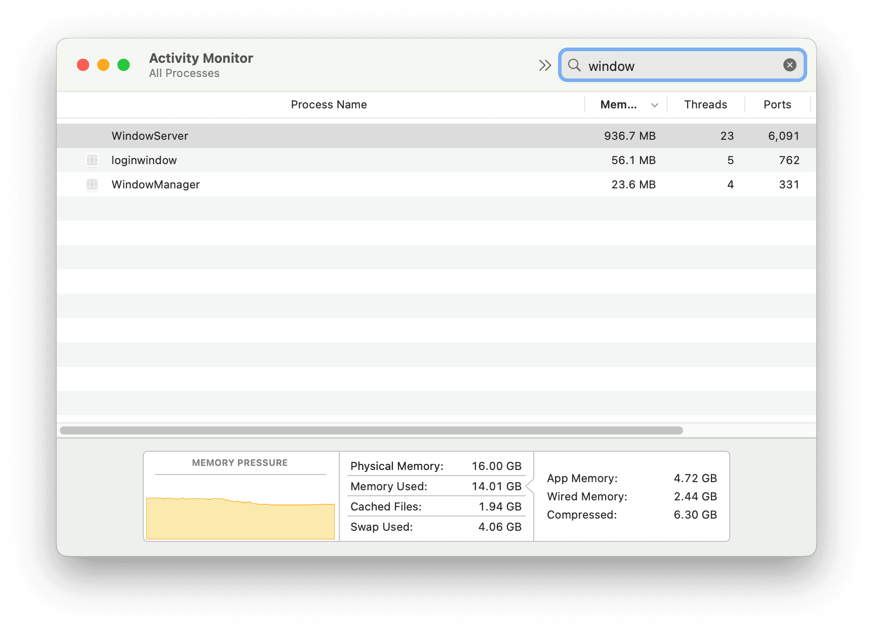 Check Memory Usage on Mac