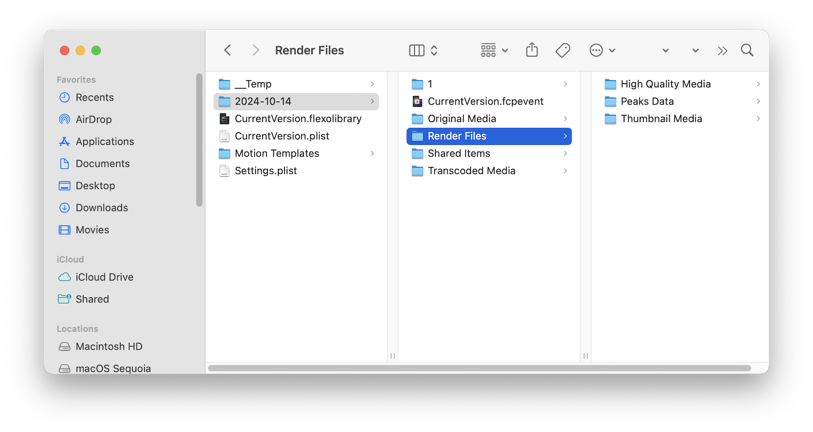 Clear Final Cut Pro Cache on Mac