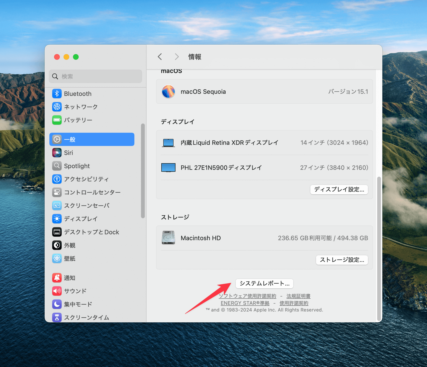 「システムレポート」をクリック