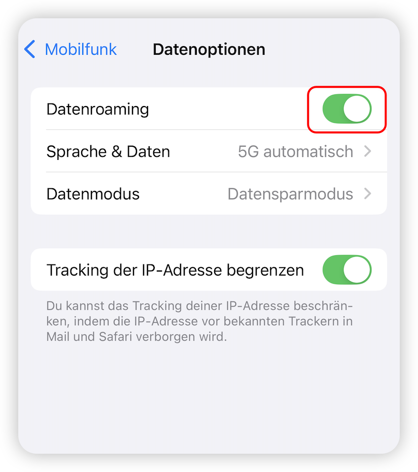 Datenroaming aktivieren