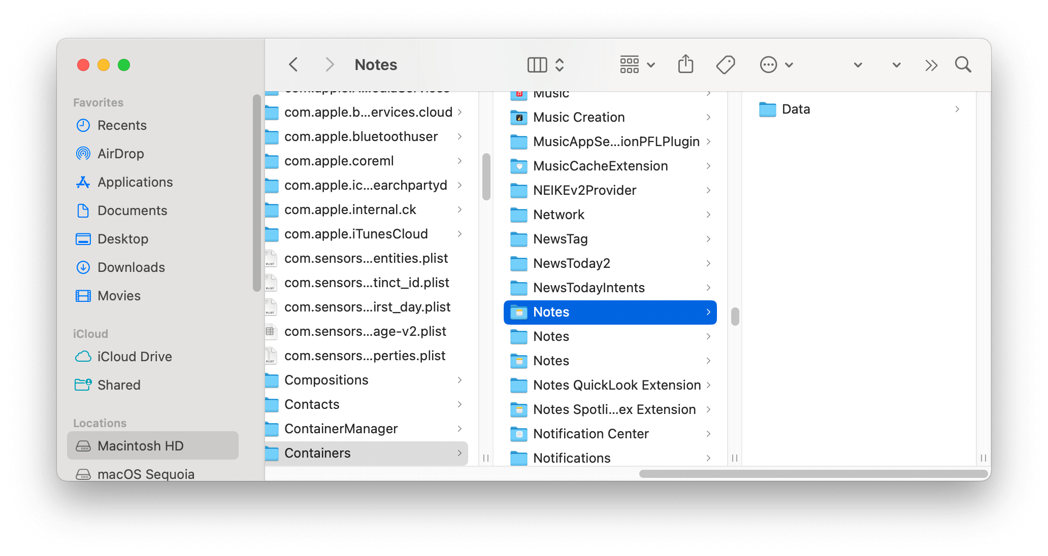Delete Notes Data on Mac