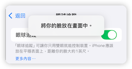 眼球追蹤人臉識別
