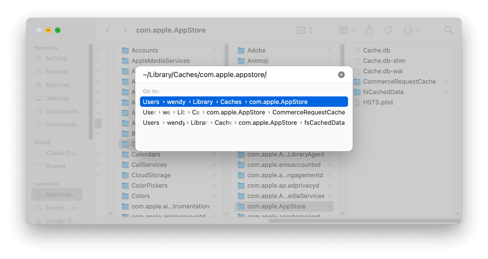 Find App Store files