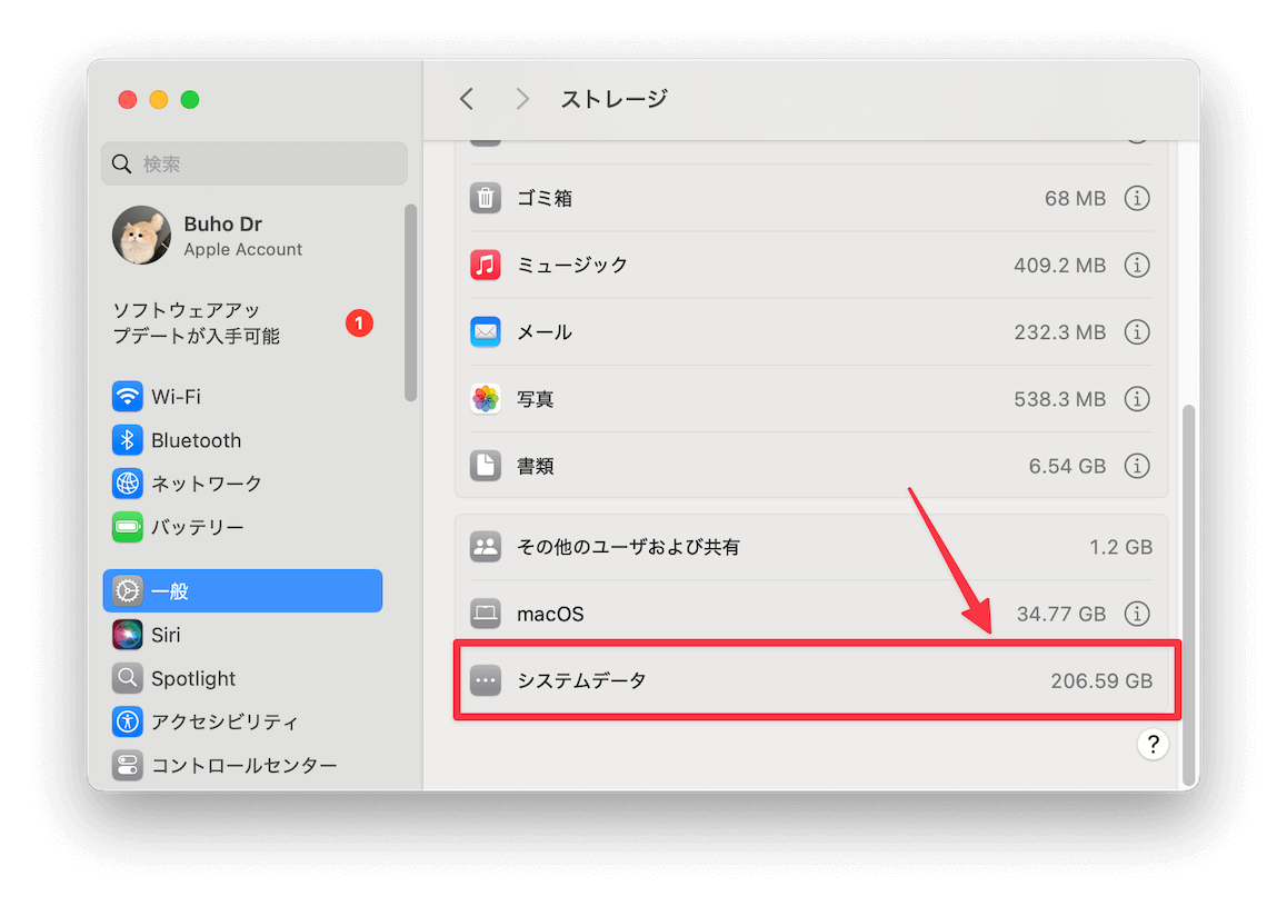 Macのシステムデータの容量