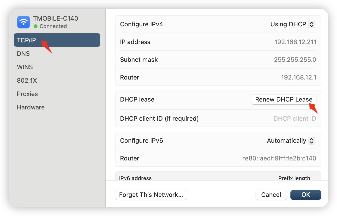 How to renew IP address on Mac
