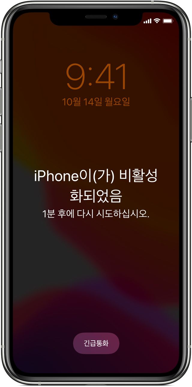 iPhone Disabled Passcode of ios13 iPhone XS