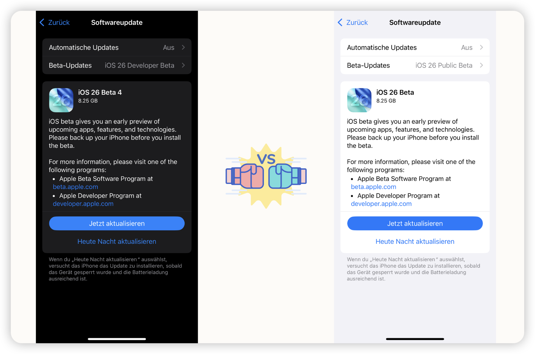 iOS 26 Developer Beta vs Public Beta