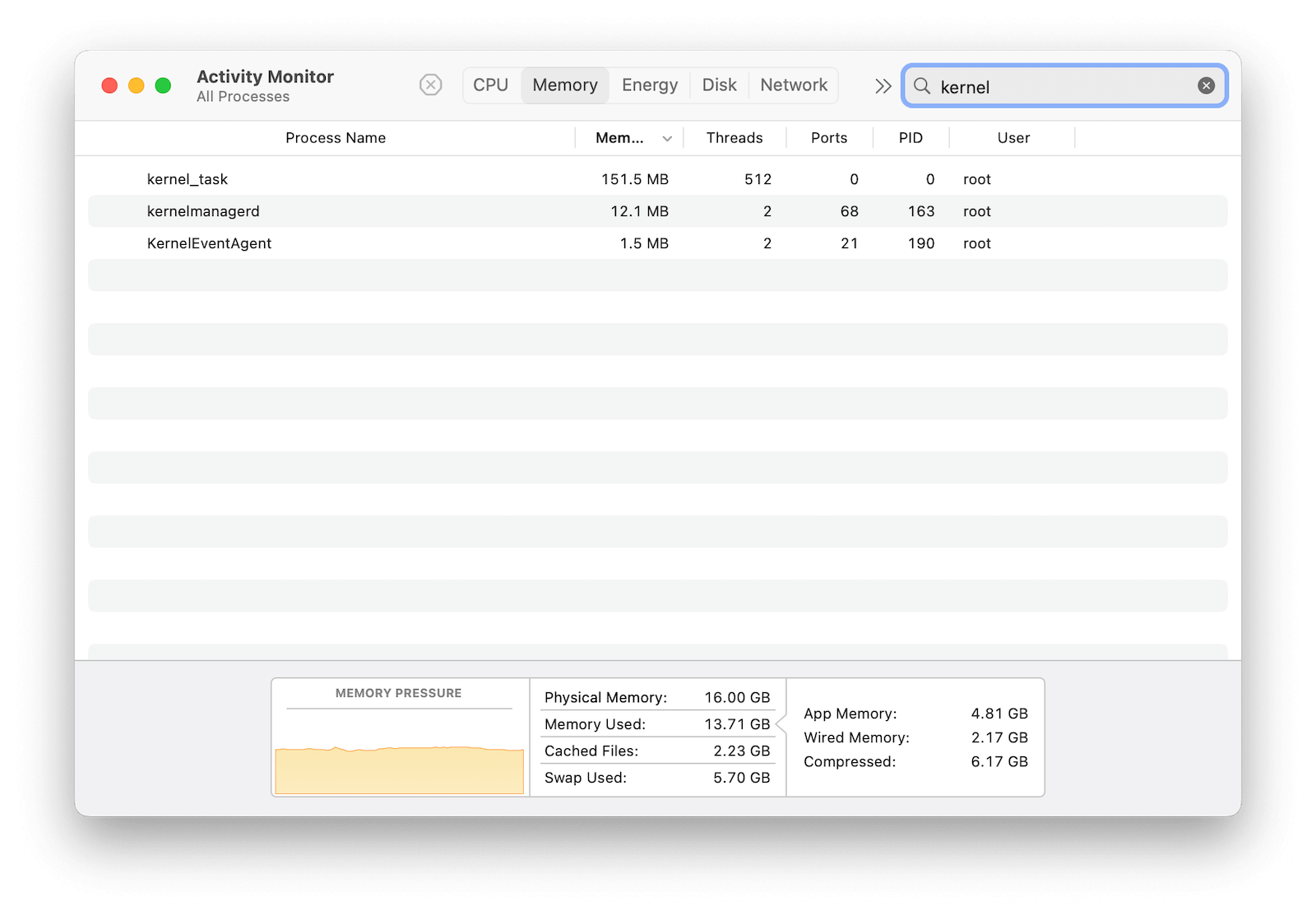 Kernel Processes in Activity Monitor