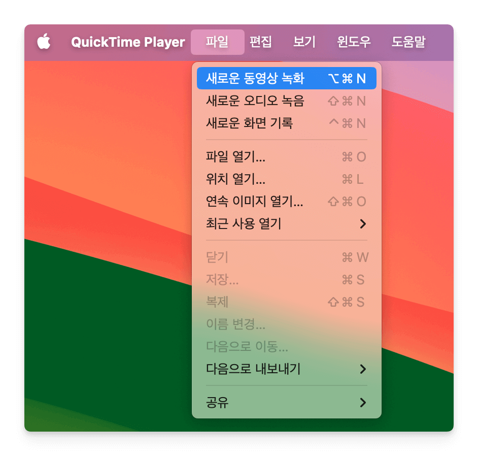 새 동영상 녹화