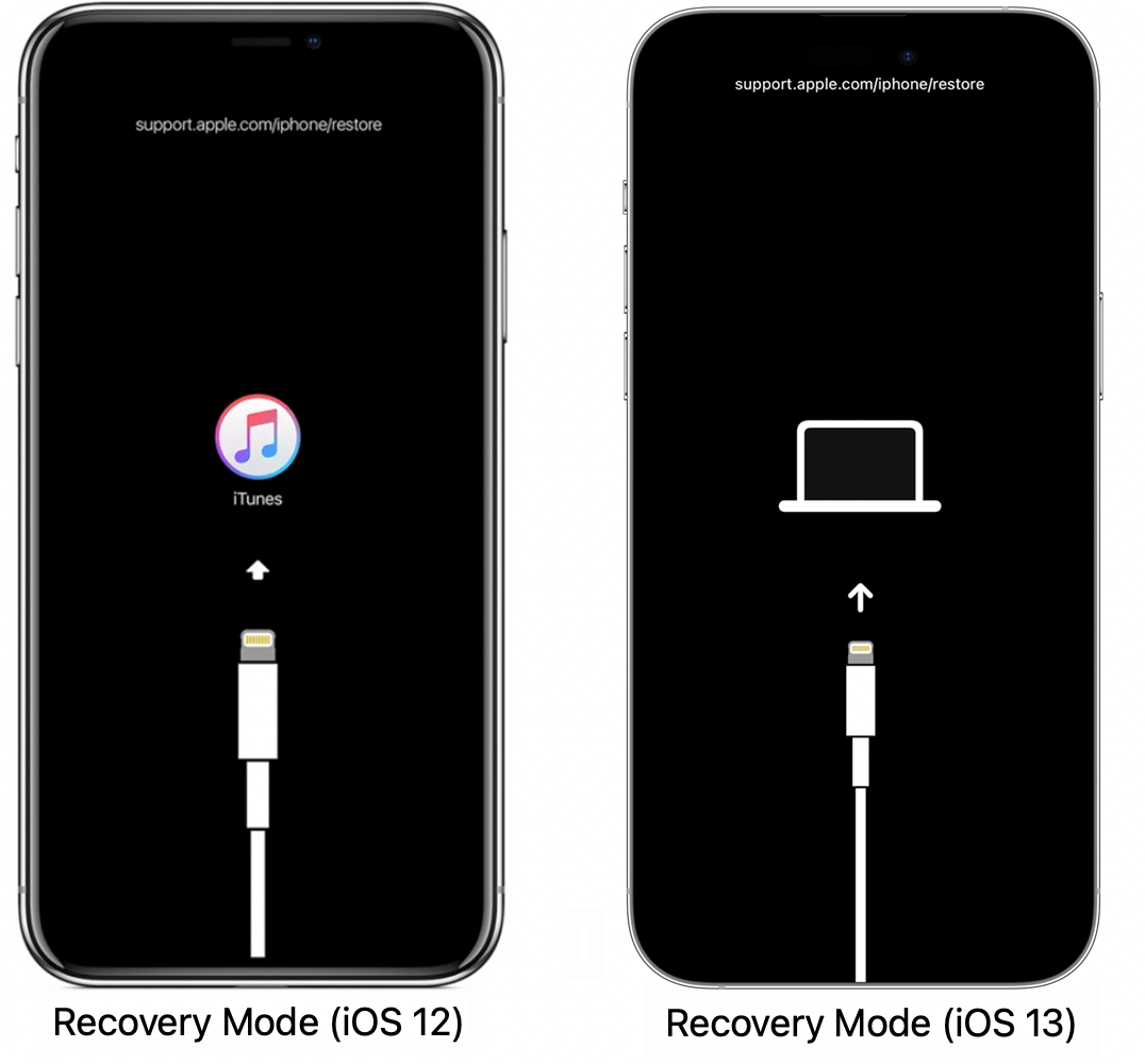Récupération iOS 12 et 13