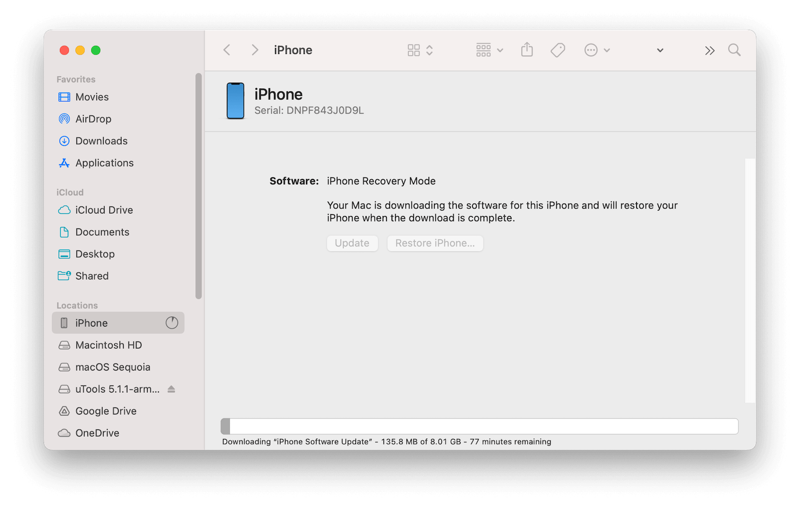 iPhone iOS-Wiederherstellung läuft