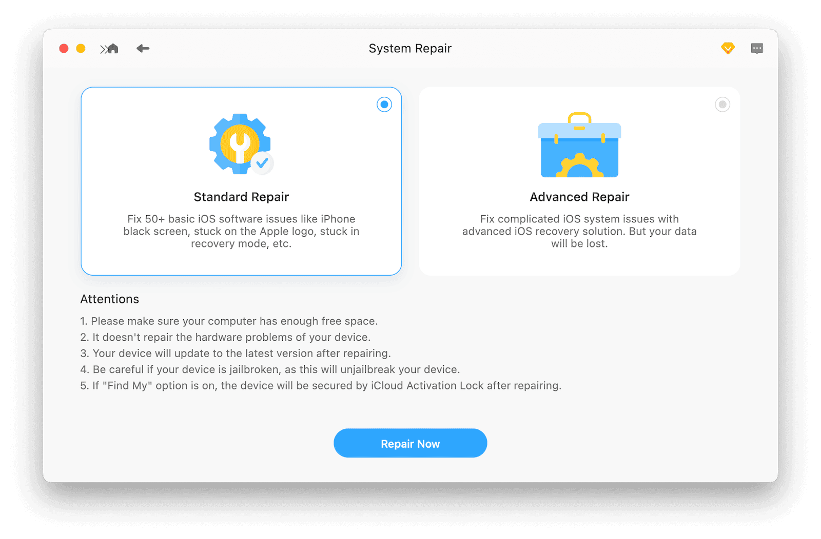 BuhoRepair Standard Repair