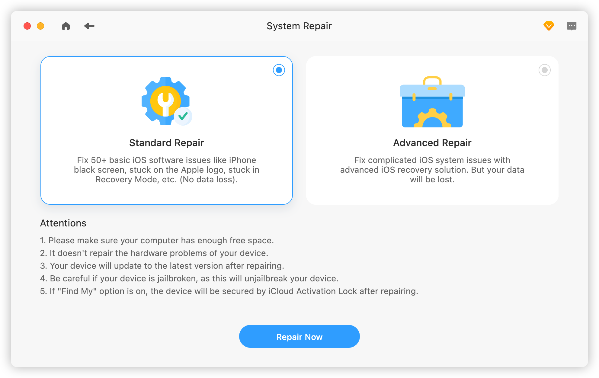 BuhoRepair Standard Repair