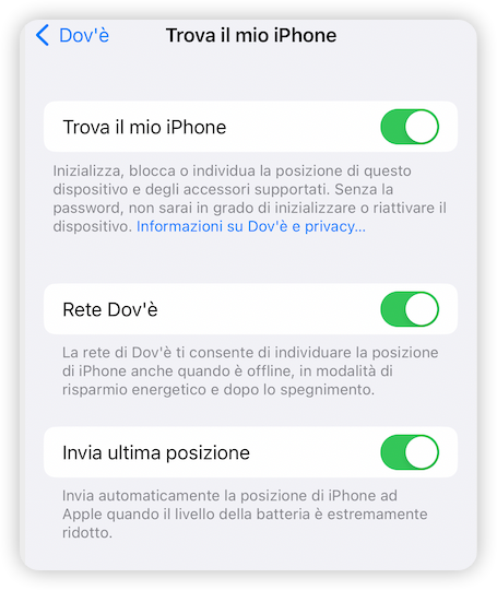 Disattivare Dov'è il mio iPhone iOS 13+.png