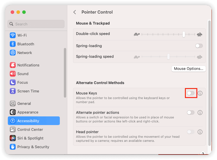 Turn Off Mouse Keys