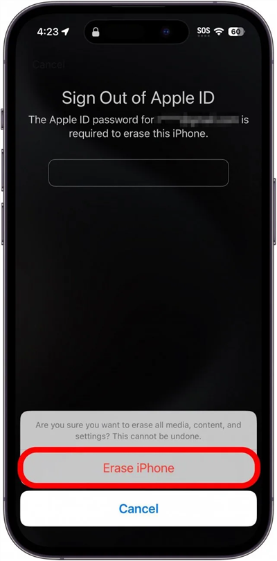Erase iPhone to Unlock