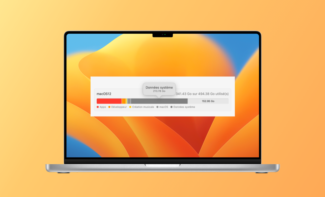 Données système Mac trop volumineuses ? Voici comment le supprimer