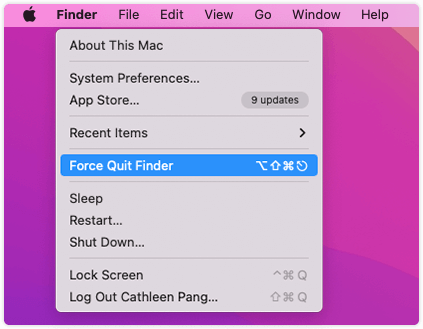 Force Quit the Crashing App